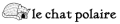 Chatpolaire