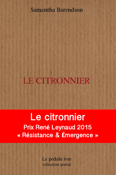 Citronnier barendson prix