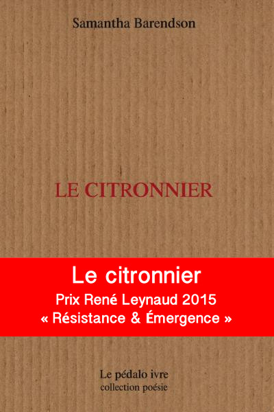 Citronnier barendson prix