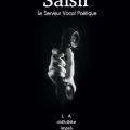 Saisir
